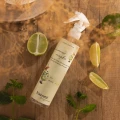 Perfumy do pomieszczeń - Summer mojito 250ml